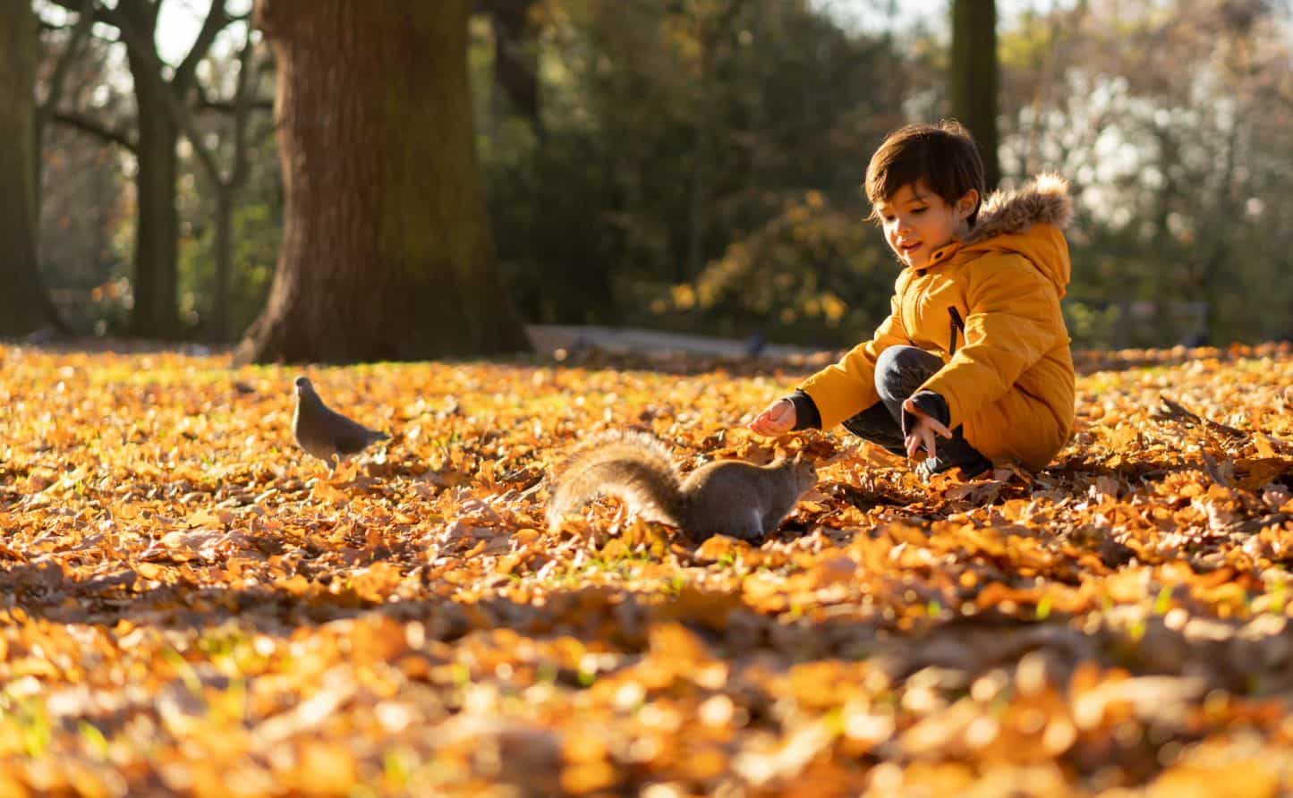 Child playing in leaves near a squirrel 